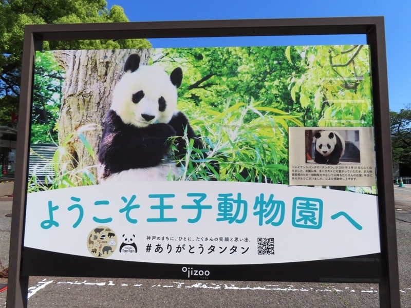 神戸・王子動物園: 凸パンダの部屋
